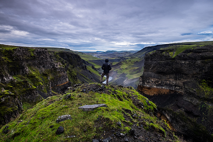 Man standing on edge of cliff looking at a beautiful rocky green canyon