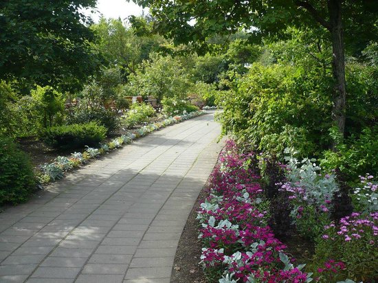 A pathway edged with pink and white flowers goes through a garden.