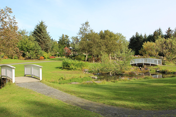 A park during the day with two paths that cross over a small stream. The bridges are white and arched.