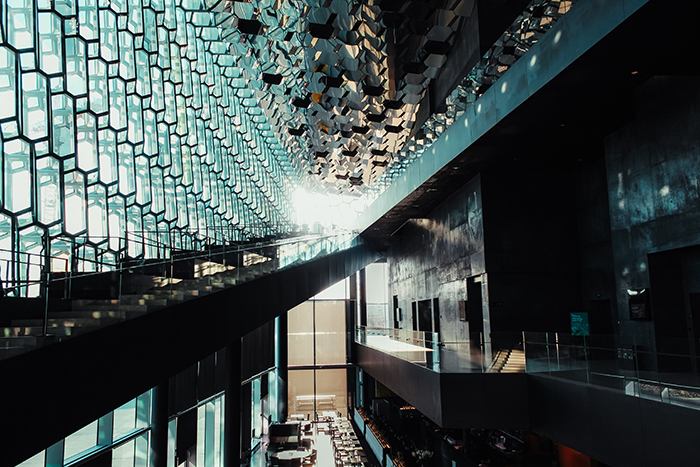 Inside a large glass atrium in one of Reykjavik's modern buildings.